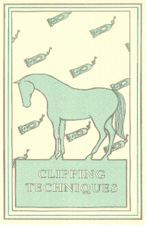 CLIPPING TECHNIQUES DVD *Limited Availability*
